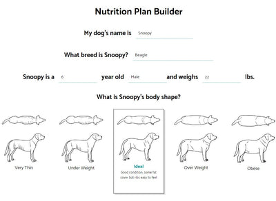 How Your Dog's Nutrition Plan is Developed