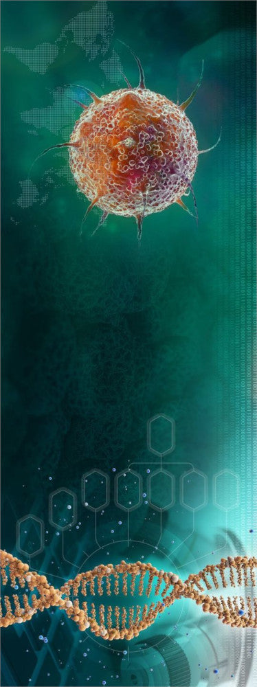 An illustration of a lymphocyte and a DNA strand