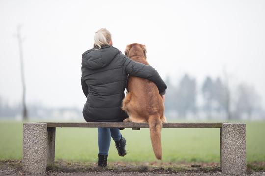 Dog and owner sitting on a park bench, as seen from behind