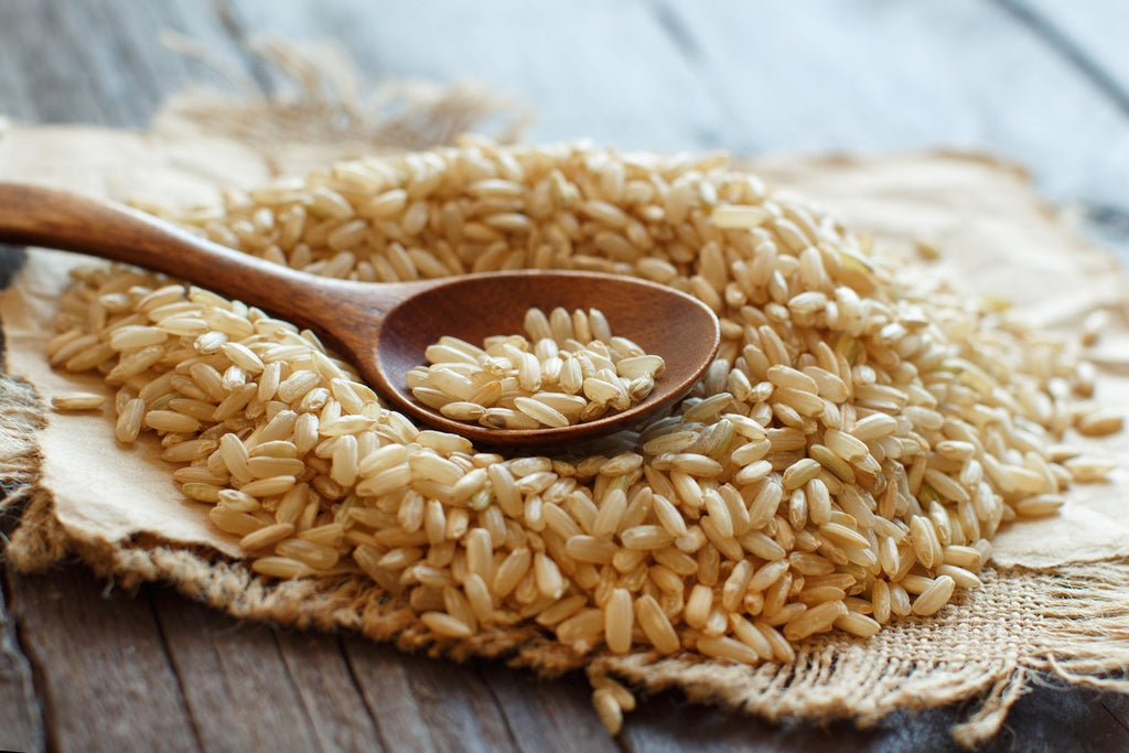 brown-rice-for-canine-biologics-food
