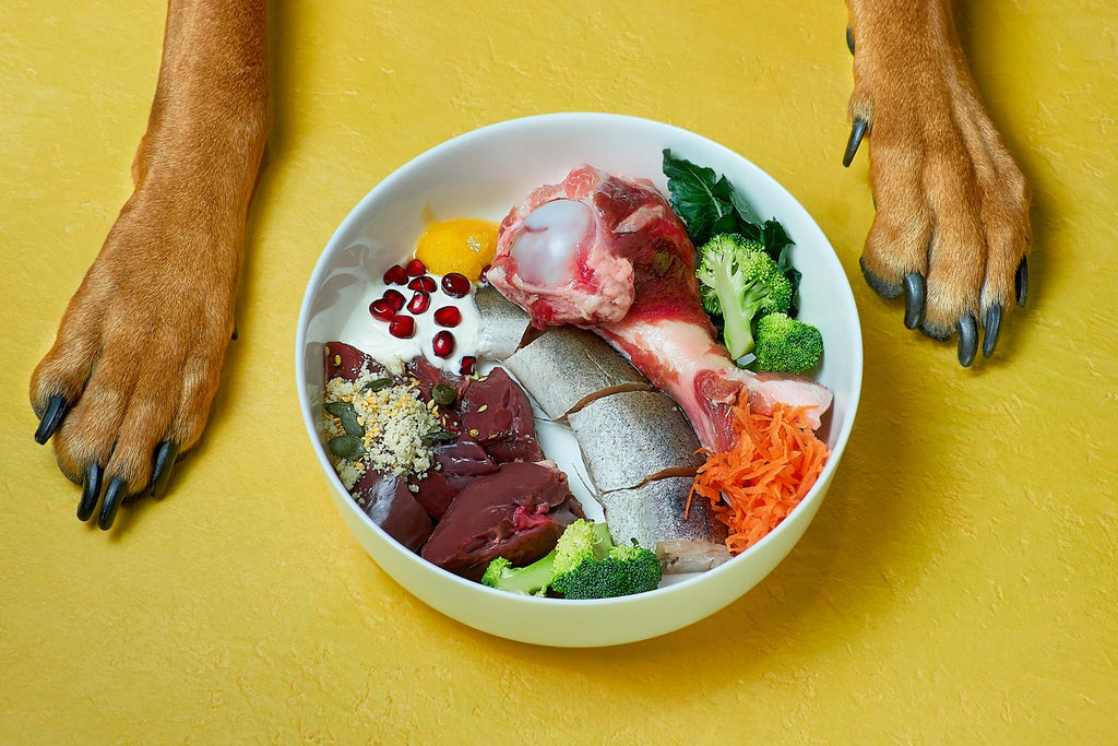 dog-bowl-of-human-food