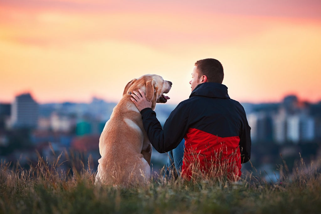man-and-dog-at-sunset